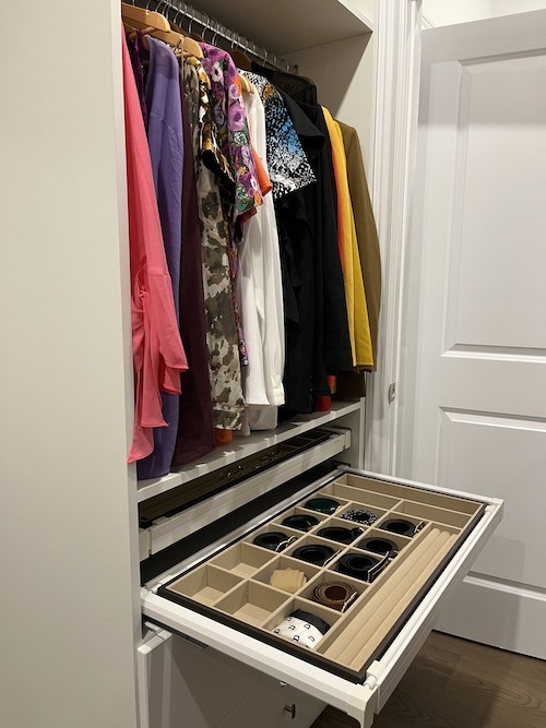 walk in closet Jewelry & Accessory Drawers